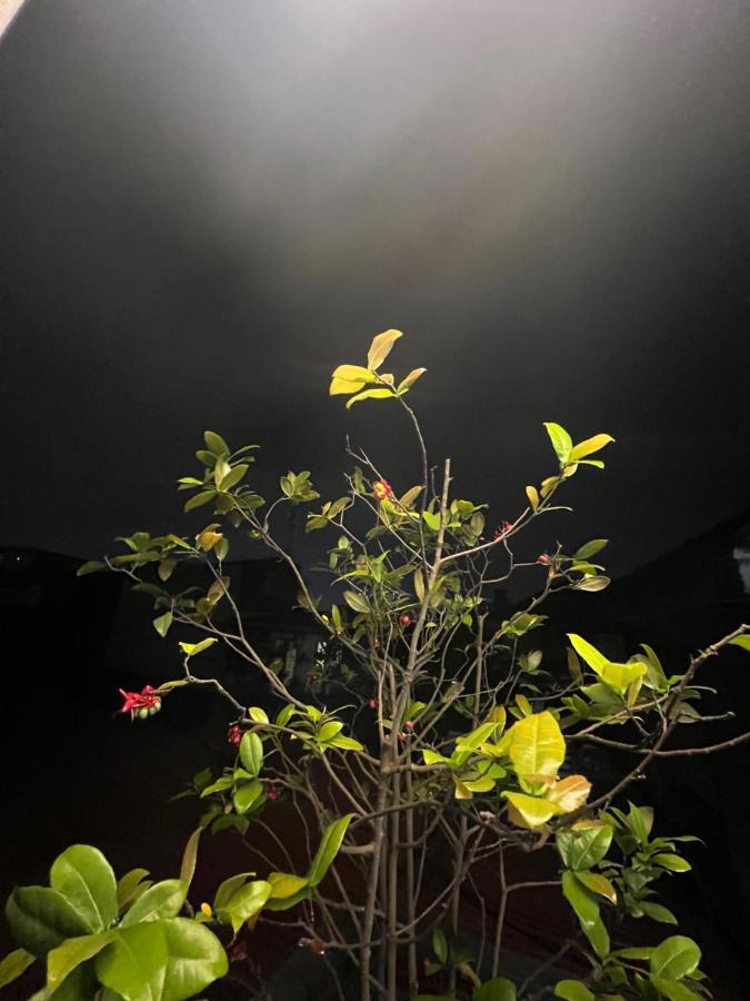 Sunflower Homestay Hai Phong Esterno foto