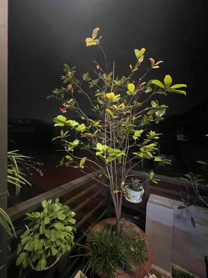 Sunflower Homestay Hai Phong Esterno foto